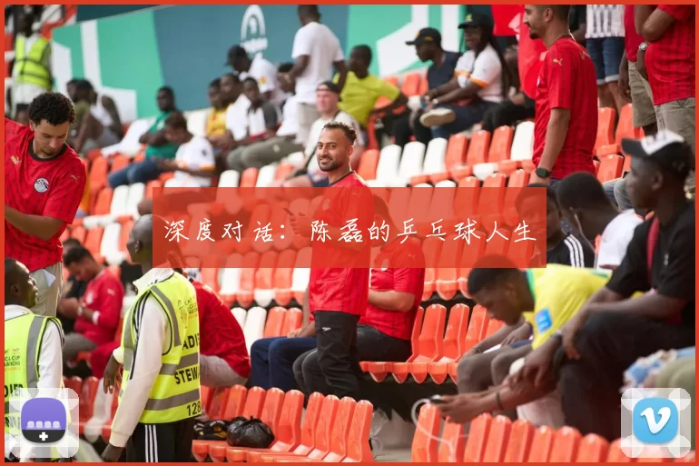 深度对话：陈磊的乒乓球人生