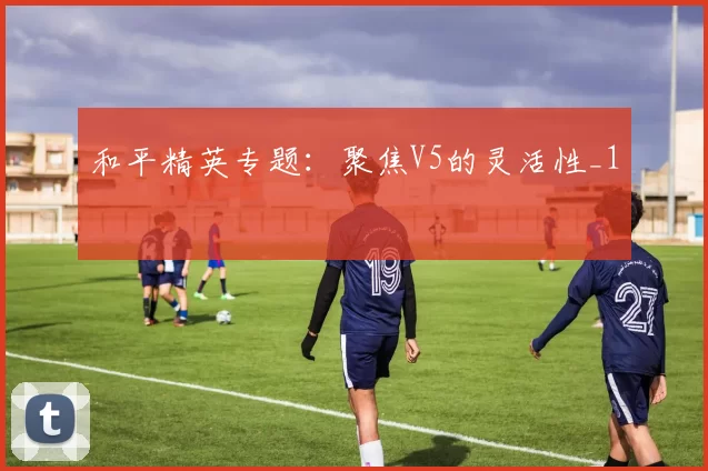 和平精英专题：聚焦V5的灵活性_1