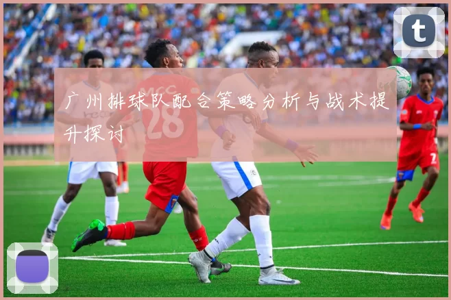 广州排球队配合策略分析与战术提升探讨