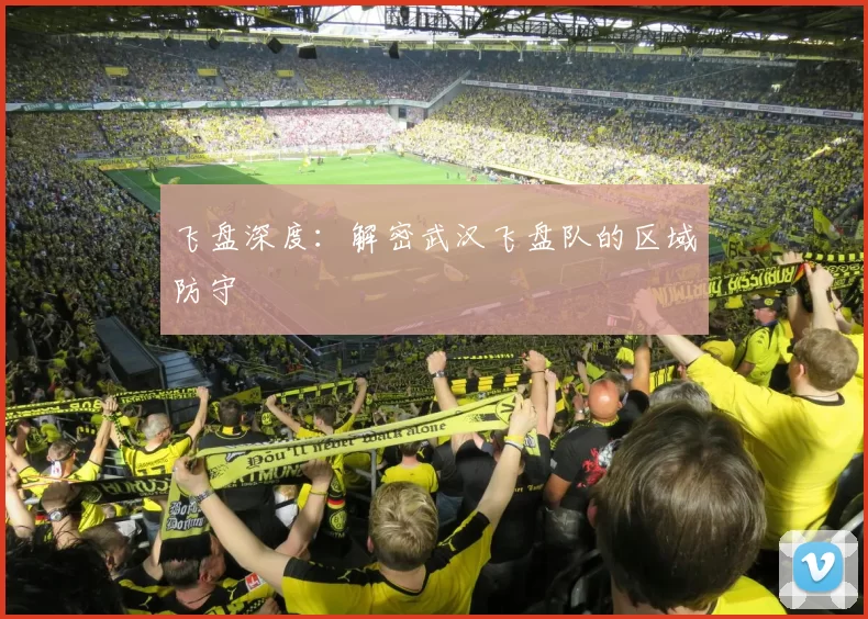 飞盘深度：解密武汉飞盘队的区域防守