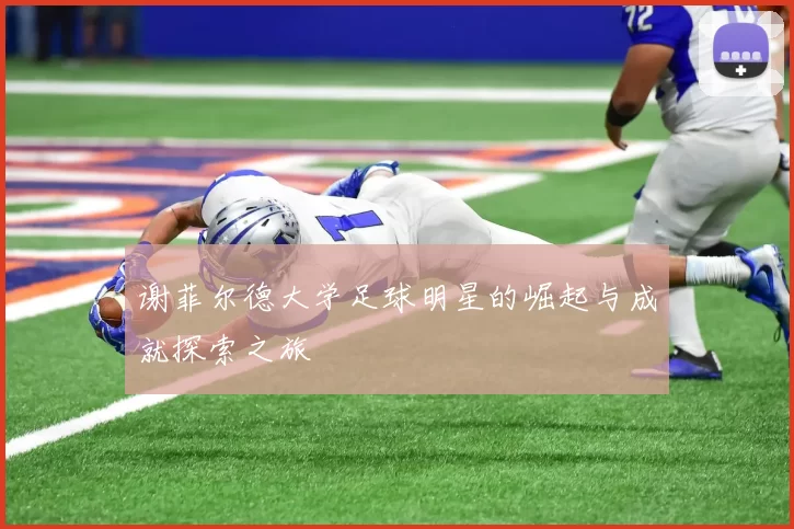 谢菲尔德大学足球明星的崛起与成就探索之旅