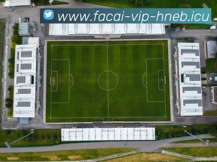 乐鱼体育发展历程